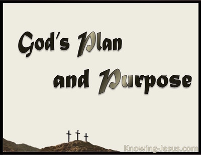 God's Plan and Purpose (devotional)11-10 (beige)